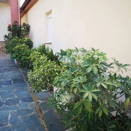 Bougos House